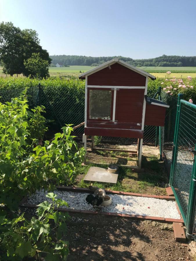 Ferienwohnung Landart Hilter Esterno foto